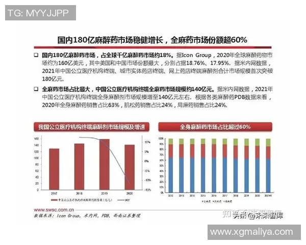 深圳排球队中路突破革新探索新战术提升整体实力的重磅专题