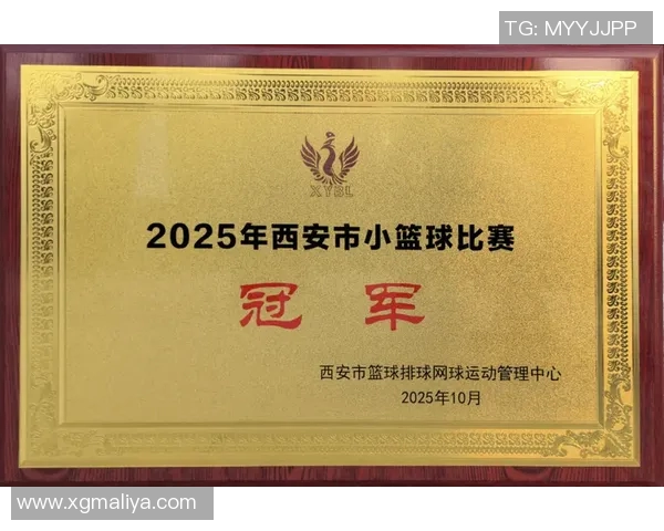 西安篮球队荣登全国篮球比赛经验排行榜第五名展现实力与潜力