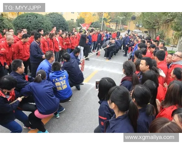 西安羽毛球队的拼搏历程与荣耀时刻全景回顾