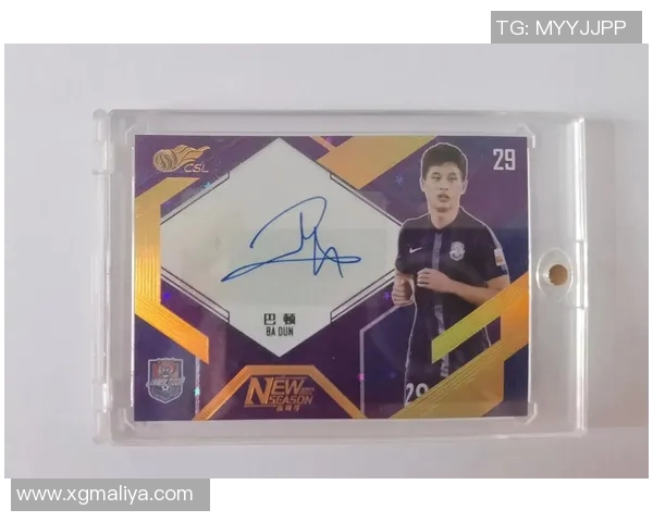 如何成功获取足球明星签名的实用技巧与注意事项分享