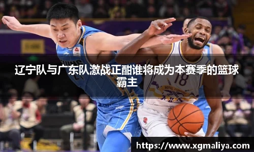 辽宁队与广东队激战正酣谁将成为本赛季的篮球霸主