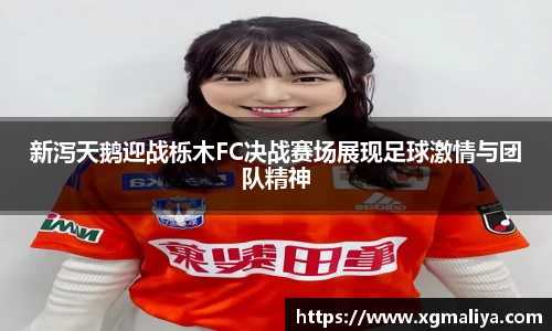 球速体育