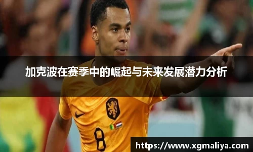 球速体育平台