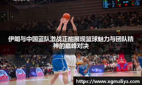 球速体育APP