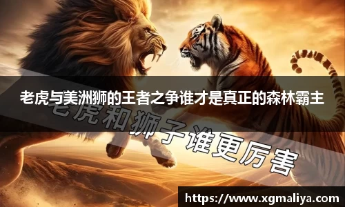 球速体育平台