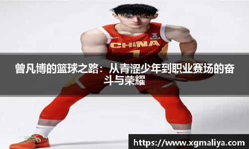 球速体育平台