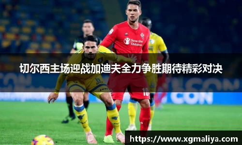球速体育平台
