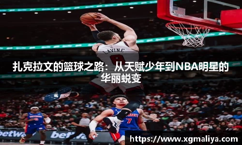 球速体育