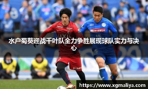 球速体育